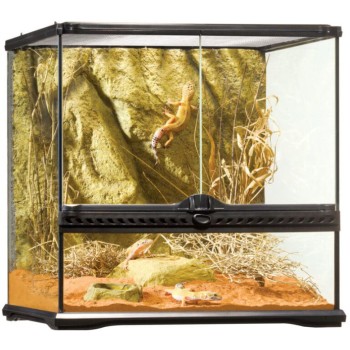 Exo Terra Mεσαίου πλάτους γυάλινο τερράριουμ Small 45x45x45cm