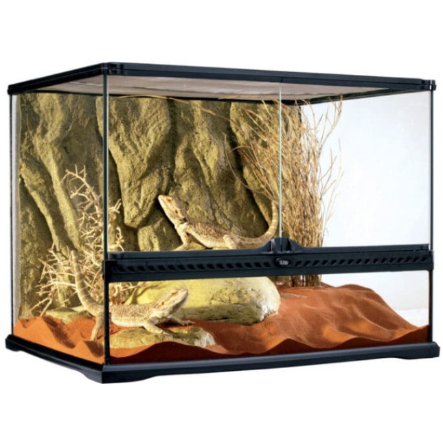 Exo Terra Mεσαίου πλάτους γυάλινο τερράριουμ Medium 60x45x45cm