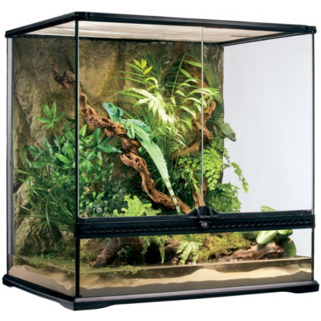 Exo Terra Ψηλό γυάλινο τερράριουμ Medium 60x45x60cm Exo Terra Ψηλό γυάλινο τερράριουμ Medium 60x45x60cm