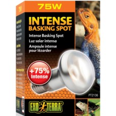 Exo Terra Λάμπα Ημέρας πυκνής δέσμης φωτός 75W-V Exo Terra Λάμπα Ημέρας πυκνής δέσμης φωτός 75W-V