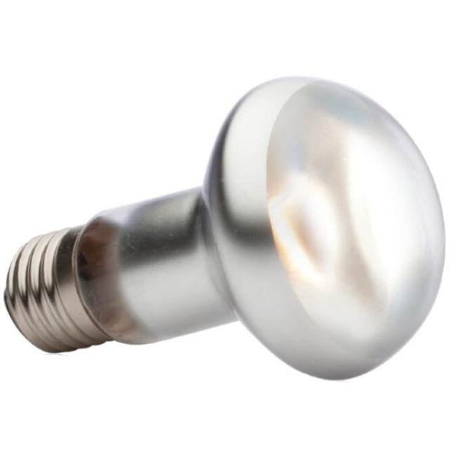 Exo Terra Λάμπα Ημέρας πυκνής δέσμης φωτός 75W-V