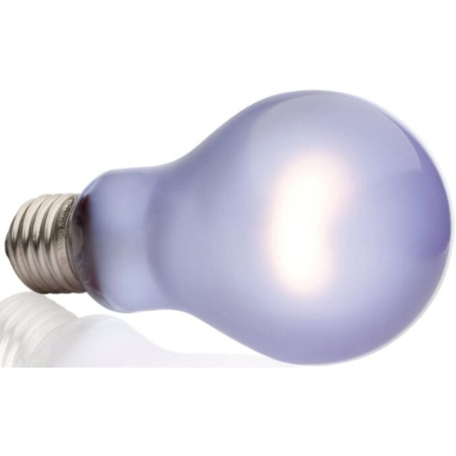 Exo Terra Λάμπα θερμότητας ημέρας A19/100W Exo Terra Λάμπα θερμότητας ημέρας A19/100W
