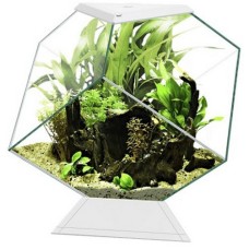 Ciano Ενυδρείο Nexus Pure Diamond 14C λευκό (35,4x41,8x36,8cm) 14 Lt Ciano Ενυδρείο Nexus Pure Diamond 14C λευκό (35,4x41,8x36,8cm) 14 Lt
