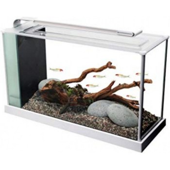 Fluval SPEC ενυδρείο λευκό κλασικό μοντέρνο στυλ με led Fluval SPEC ενυδρείο λευκό κλασικό μοντέρνο στυλ με led