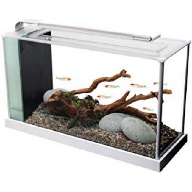 Fluval SPEC ενυδρείο λευκό κλασικό μοντέρνο στυλ με led Fluval SPEC ενυδρείο λευκό κλασικό μοντέρνο στυλ με led