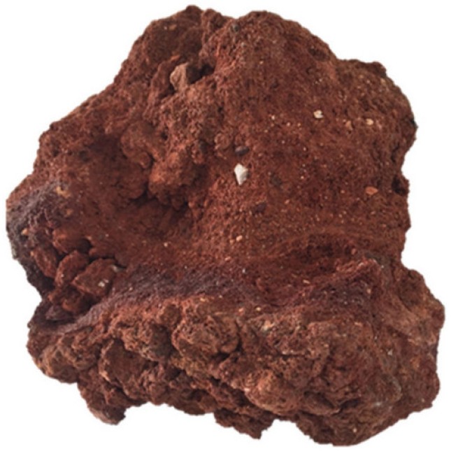 Oceanmax φυσική πέτρα lava 15-25cm