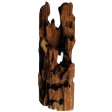 Φυσικό ξύλο Mangrowe holes 45-55cm Φυσικό ξύλο Mangrowe holes 45-55cm