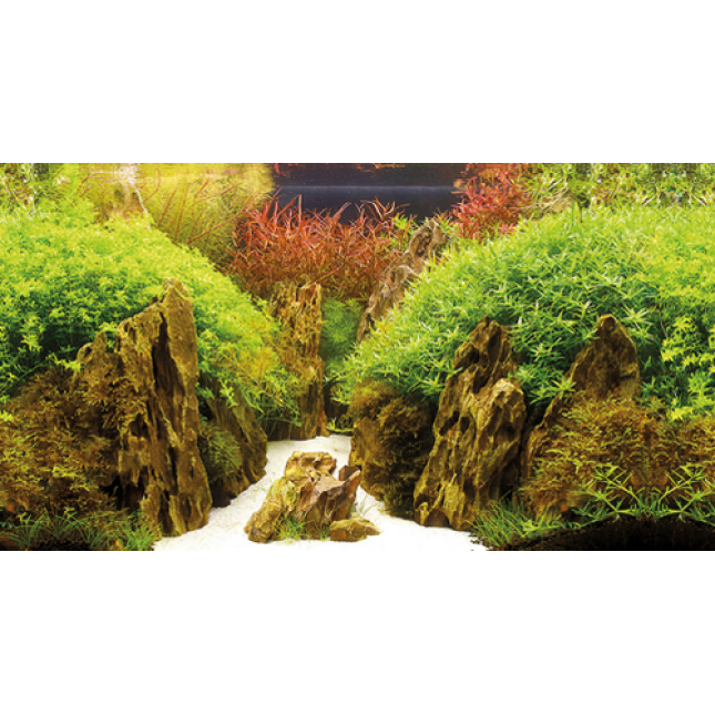 Hobby πόστερ τροπικό canyon / woodland 2 όψεων Hobby πόστερ τροπικό canyon / woodland 2 όψεων