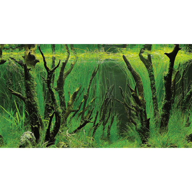 Hobby πόστερ τροπικό canyon / woodland 2 όψεων Hobby πόστερ τροπικό canyon / woodland 2 όψεων