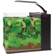 Amtra γυάλινο ενυδρείο 25X23X24cm 11L Amtra γυάλινο ενυδρείο 25X23X24cm 11L