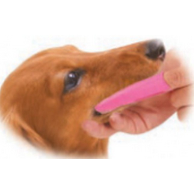 Gloria οδοντόβουρτσα σκύλου με εργονομικό σχεδιασμό για εύκολη χρήση 14cm