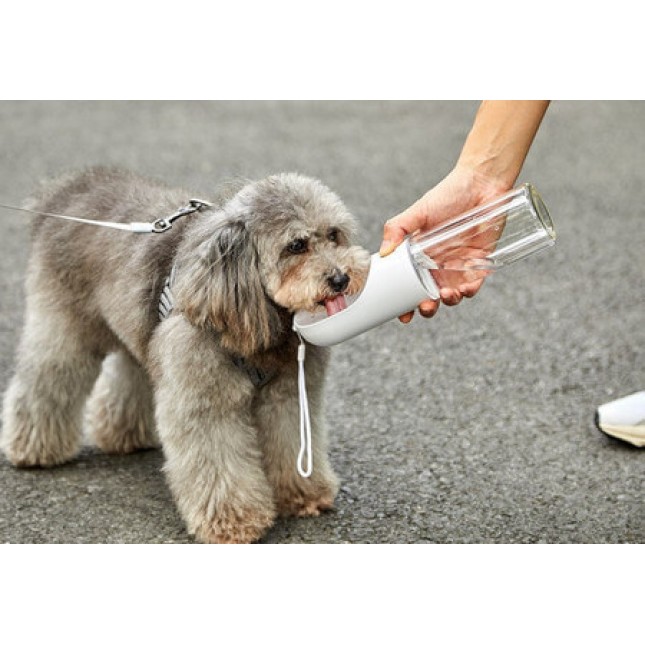 Dogness ποτίστρα σκύλου ιδανική για τη βόλτα ή το ταξίδι