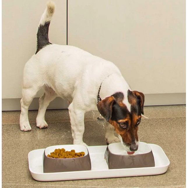 Ferplast Glam tray πλαστικός διπλός δίσκος τροφής και νερού για γάτες και σκύλους γκρι