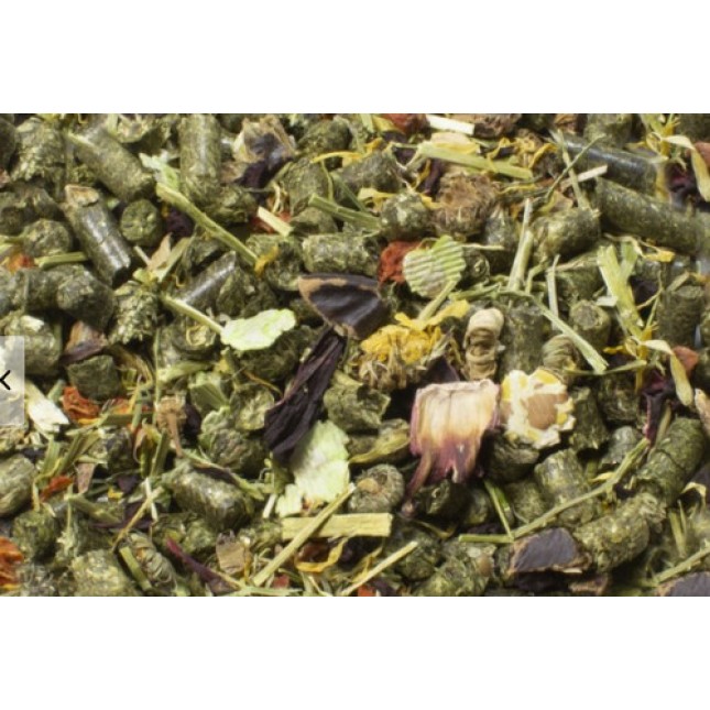 JR FARM Feast Τροφή για Ινδικά χοιρίδια 15kg JR FARM Feast Τροφή για Ινδικά χοιρίδια 15kg