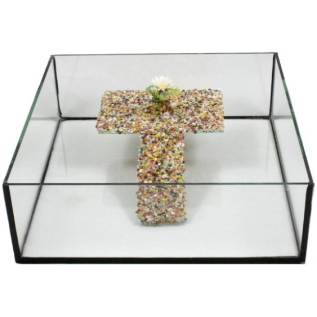 GCF Χελωνιέρα γυάλινη τετράγωνη 30x30x10cm GCF Χελωνιέρα γυάλινη τετράγωνη 30x30x10cm