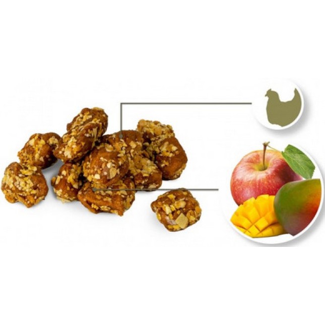 Blue Tree Meat meets mango chutney grain free νόστιμα και υγιεινά σνακ με κοτόπουλο, μάνγκο και μήλο