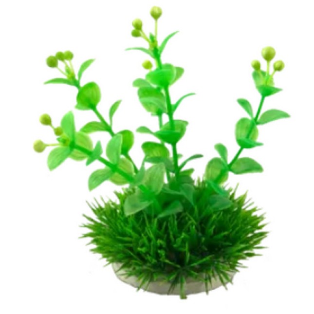 Nobleza Πλαστικό διακοσμητικό φυτό 1τμχ 10cm