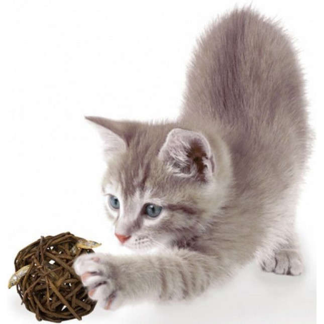 JR cat grain free nature ball αφυδατωμένο ψάρι 100% φυσικό επαναγεμιζόμενο 15gr JR cat grain free nature ball αφυδατωμένο ψάρι 100% φυσικό επαναγεμιζόμενο 15gr