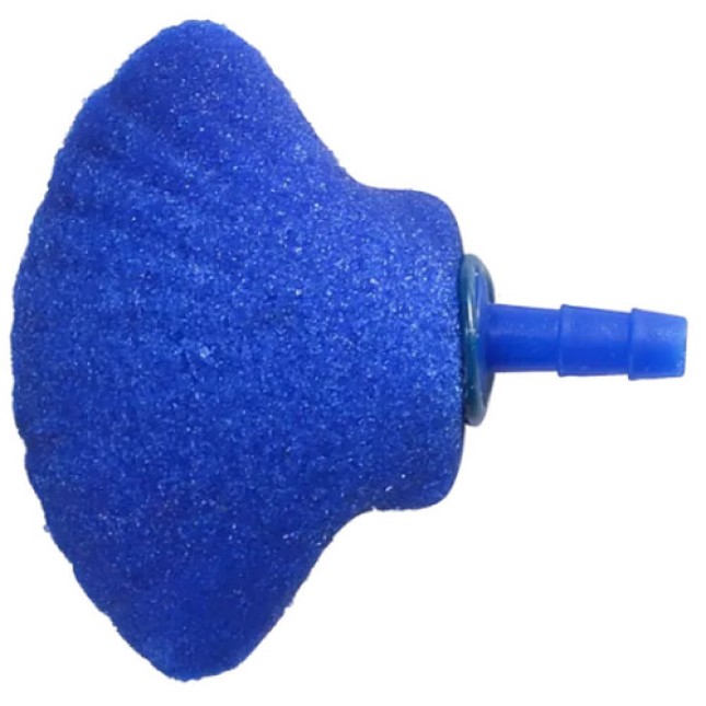 Nobleza μπλε αερόπετρα κοχύλι 4,7x3,3cm Nobleza μπλε αερόπετρα κοχύλι 4,7x3,3cm