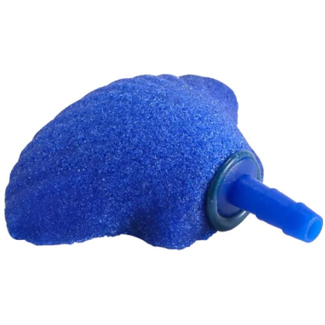 Nobleza μπλε αερόπετρα κοχύλι 4,7x3,3cm Nobleza μπλε αερόπετρα κοχύλι 4,7x3,3cm
