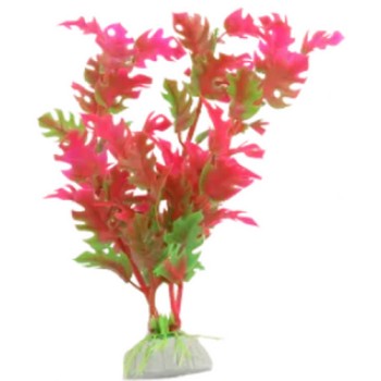 Nobleza Διακοσμητικό φυτό ενυδρείων 20cm 1τμχ Nobleza Διακοσμητικό φυτό ενυδρείων 20cm 1τμχ