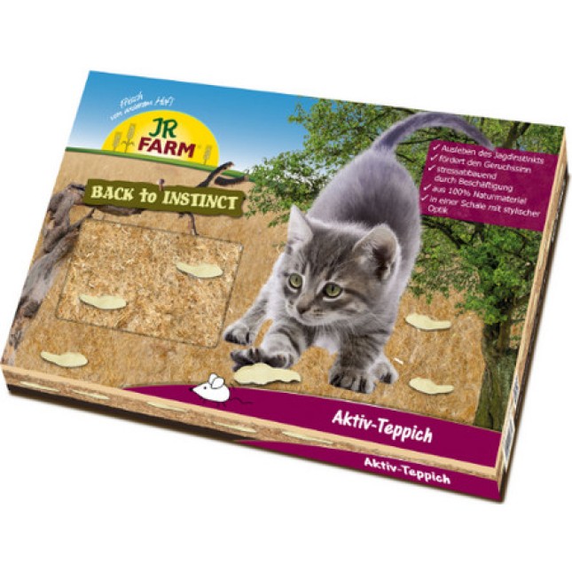 JR cat JR cat