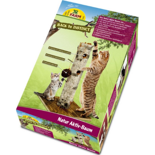 JR cat JR cat