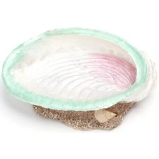 Nobleza διακοσμητικό ενυδρείου κοχύλι 8.5x6x2.5cm, απο συνθετική ρητίνη Nobleza διακοσμητικό ενυδρείου κοχύλι 8.5x6x2.5cm, απο συνθετική ρητίνη