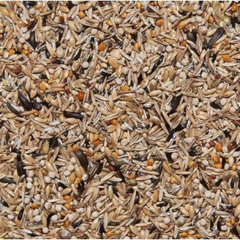 Beyers Πλήρες Μείγμα Καρδερίνας Alpha Mix 1kg Beyers Πλήρες Μείγμα Καρδερίνας Alpha Mix 1kg