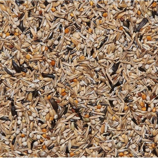 Beyers Πλήρες Μείγμα Καρδερίνας Alpha Mix 1kg Beyers Πλήρες Μείγμα Καρδερίνας Alpha Mix 1kg