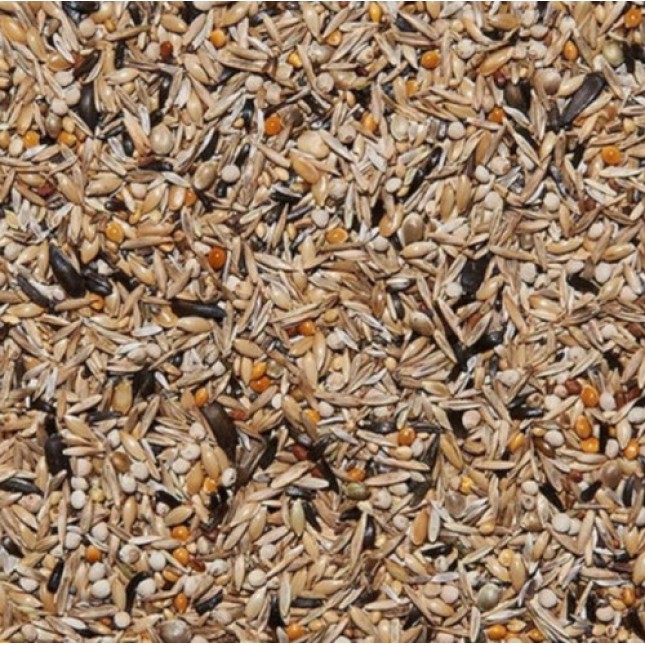 Beyers Πλήρες Μείγμα Καρδερίνας Alpha Mix 1kg χύμα Beyers Πλήρες Μείγμα Καρδερίνας Alpha Mix 1kg χύμα