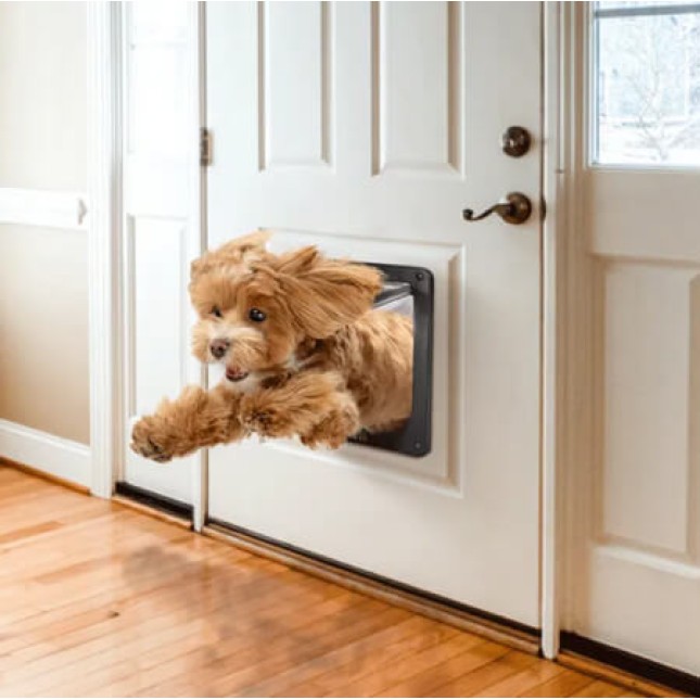 Nobleza πόρτα σκύλου, επιτρέπει στο κατοικίδιο σας να φεύγει από και να έρχεται στο διαμέρισμα σας