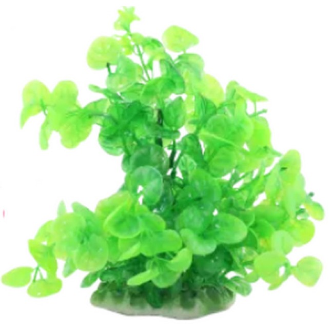 Nobleza Τεχνητό πράσινο φυτό 20cm Nobleza Τεχνητό πράσινο φυτό 20cm
