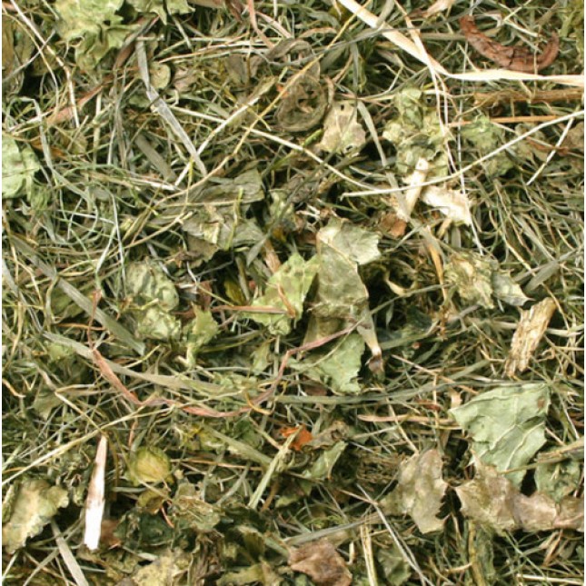 JR Farm γαϊδουράγκαθο για τσιντσιλά 500g JR Farm γαϊδουράγκαθο για τσιντσιλά 500g