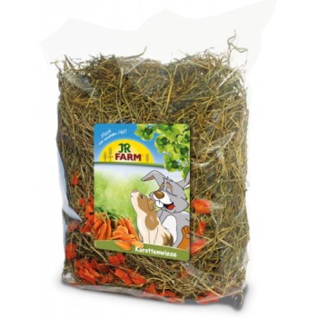 JR Farm Σανός καρότου για τρωκτικά και κουνέλια νάνους 500g JR Farm Σανός καρότου για τρωκτικά και κουνέλια νάνους 500g