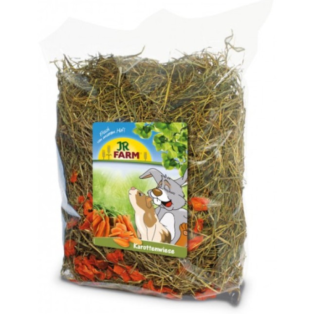 JR Farm Σανός καρότου για τρωκτικά και κουνέλια νάνους 500g JR Farm Σανός καρότου για τρωκτικά και κουνέλια νάνους 500g