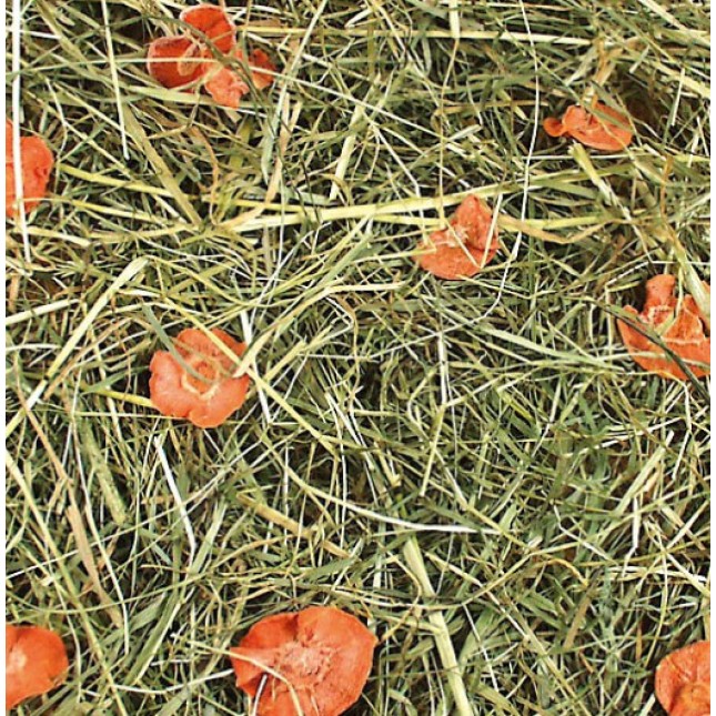 JR Farm Σανός καρότου για τρωκτικά και κουνέλια νάνους 500g JR Farm Σανός καρότου για τρωκτικά και κουνέλια νάνους 500g