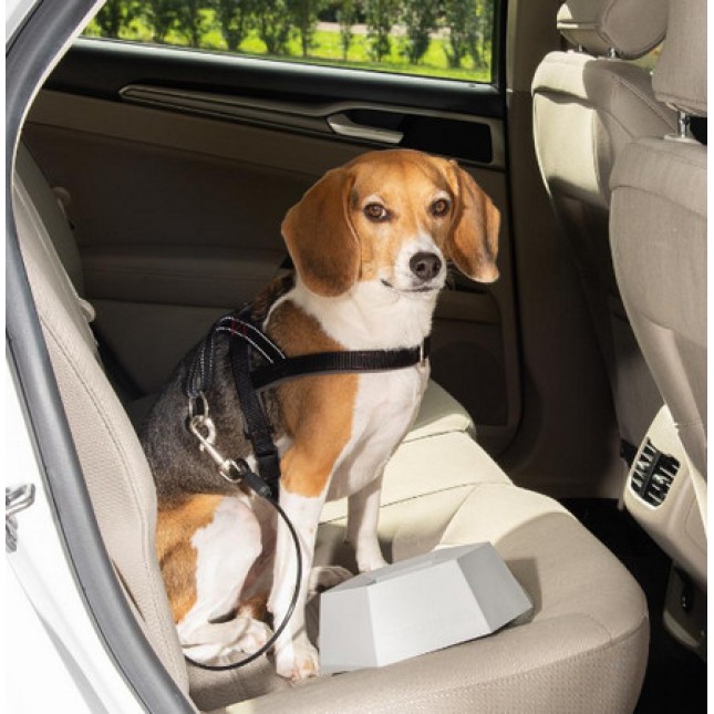 Alcott-Ζώνη ασφαλείας αυτοκινήτου για σκύλους προσαρμόζεται εύκολα σε όλα τα αυτοκίνητα 38 έως 66 cm