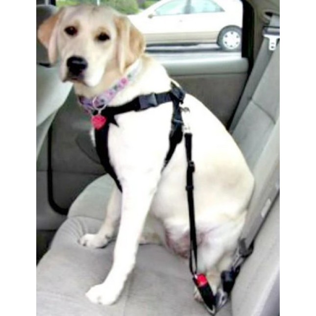 Alcott-Ζώνη ασφαλείας αυτοκινήτου για σκύλους προσαρμόζεται εύκολα σε όλα τα αυτοκίνητα 38 έως 66 cm