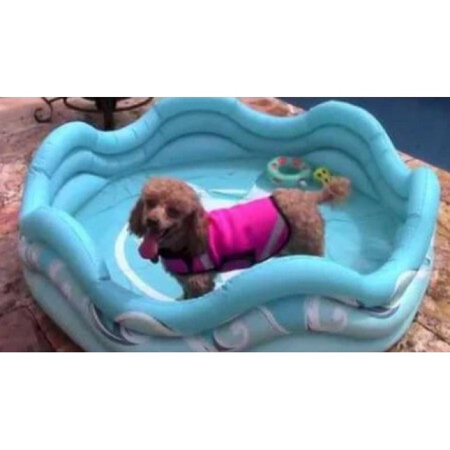 Alcott-Φουσκωτή πισίνα για σκύλους κατασκευασμένη από χοντρό PVC με διάμετρο: 122cm
