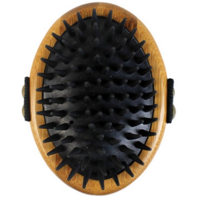 Alcott-Grooming Βούρτσα με λαστιχένια δόντια που κάνουν μασάζ και αφαιρούν την νεκρή τρίχα Alcott-Grooming Βούρτσα με λαστιχένια δόντια που κάνουν μασάζ και αφαιρούν την νεκρή τρίχα