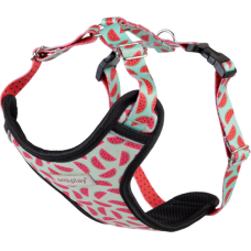 Amiplay-Ενιαίο επιστήθιο Be Happy Watermelon Large 30-45 45-65cm Amiplay-Ενιαίο επιστήθιο Be Happy Watermelon Large 30-45 45-65cm