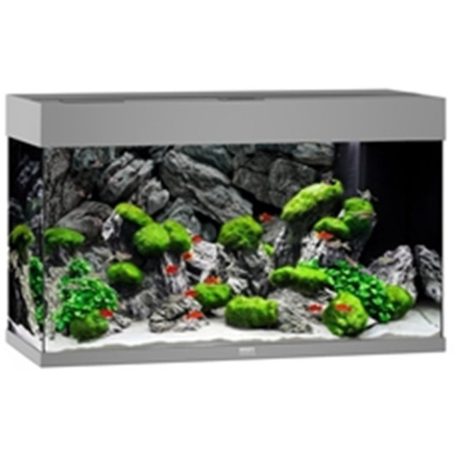 Juwel Rio 125 LED ενυδρείο Γκρι 81x36x50cm Juwel Rio 125 LED ενυδρείο Γκρι 81x36x50cm