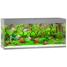 Juwel Rio 240 LED ενυδρείο Γκρι 121x41x55cm Juwel Rio 240 LED ενυδρείο Γκρι 121x41x55cm