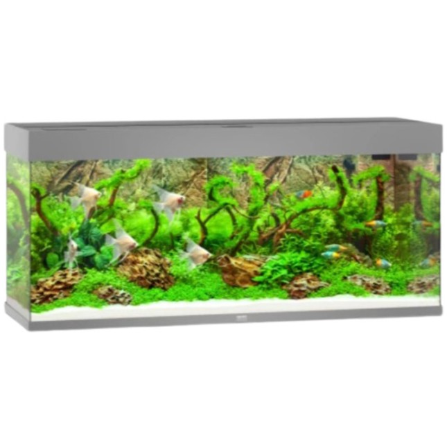 Juwel Rio 240 LED ενυδρείο Γκρι 121x41x55cm Juwel Rio 240 LED ενυδρείο Γκρι 121x41x55cm