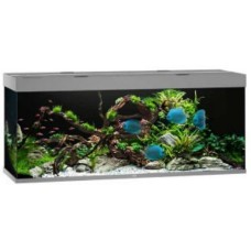 Juwel Rio 450 LED ενυδρείο Γκρι 151x51x66 cm Juwel Rio 450 LED ενυδρείο Γκρι 151x51x66 cm