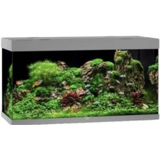Juwel Rio 350 LED ενυδρείο Γκρι 121x51x66cm Juwel Rio 350 LED ενυδρείο Γκρι 121x51x66cm