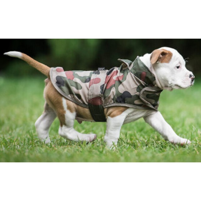 Amiplay- Αδιάβροχο για σκύλους BRISTOL Camo πρακτικό και ιδανικό για βροχερές μέρες