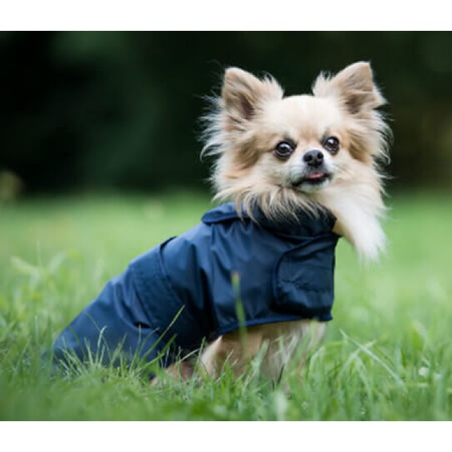 Amiplay- Αδιάβροχο για σκύλους BRISTOL μπλε πρακτικό και ιδανικό για βροχερές μέρες