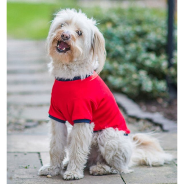 Amiplay- Μπλουζάκι σκύλου MIAMI είναι ένα αέρινο και άνετο μπλουζάκι με μανίκια κόκκινο